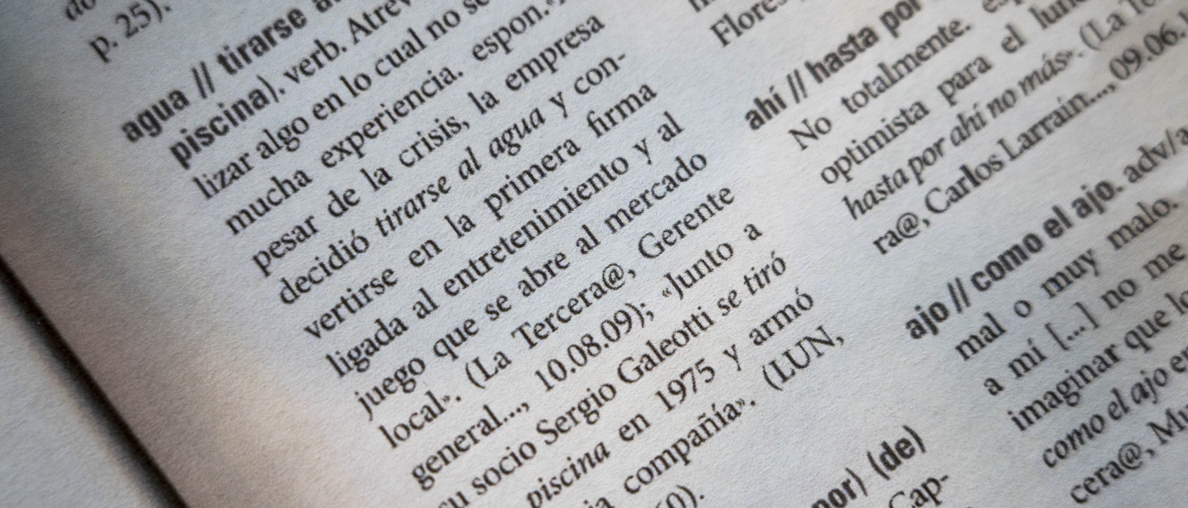 Detalle de «640 frases que caracterizan a los chilenos: Selección del 'Diccionario fraseológico de uso del español de Chile.