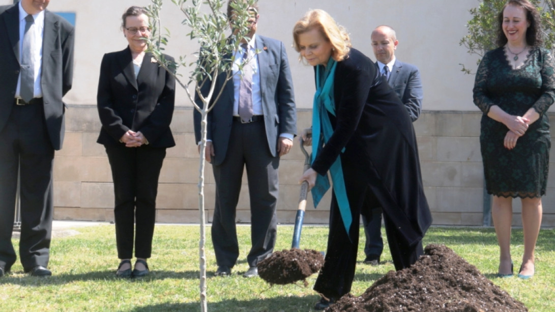 Carme Riera ha plantado un olivo en los jardines del campus universitario. Foto: UIB