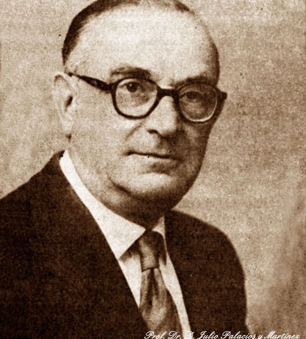 Julio Palacios Martínez (1891-1970). © Real Academia Nacional de Medicina (RANM)