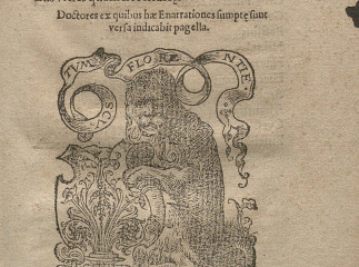 Enarrationes Euangeliorum dominicalium & quadragesimalium per totum annum, ex praecipuis Ecclesi[a]e Christianae doctoribus /| Reprod. digital.