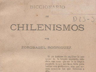 Diccionario de chilenismos /| Reprod. digital.