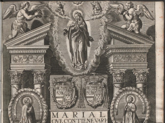 Marial que contiene varios sermones de todas las fiestas de N[uest]ra Señora| : predicados a las mag
