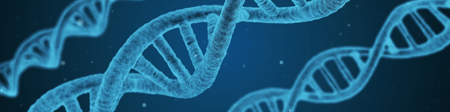 ADN (foto: Pixabay)