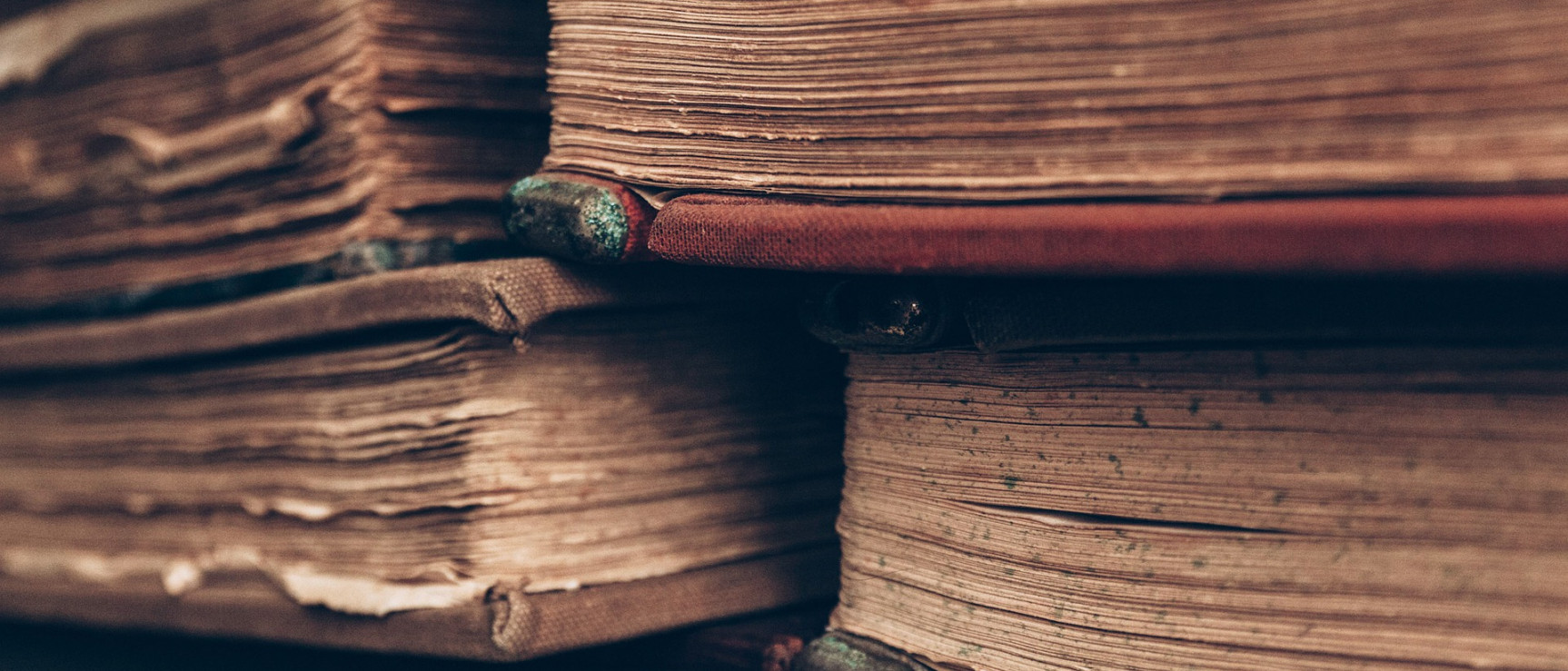 Libros (foto: Pixabay)