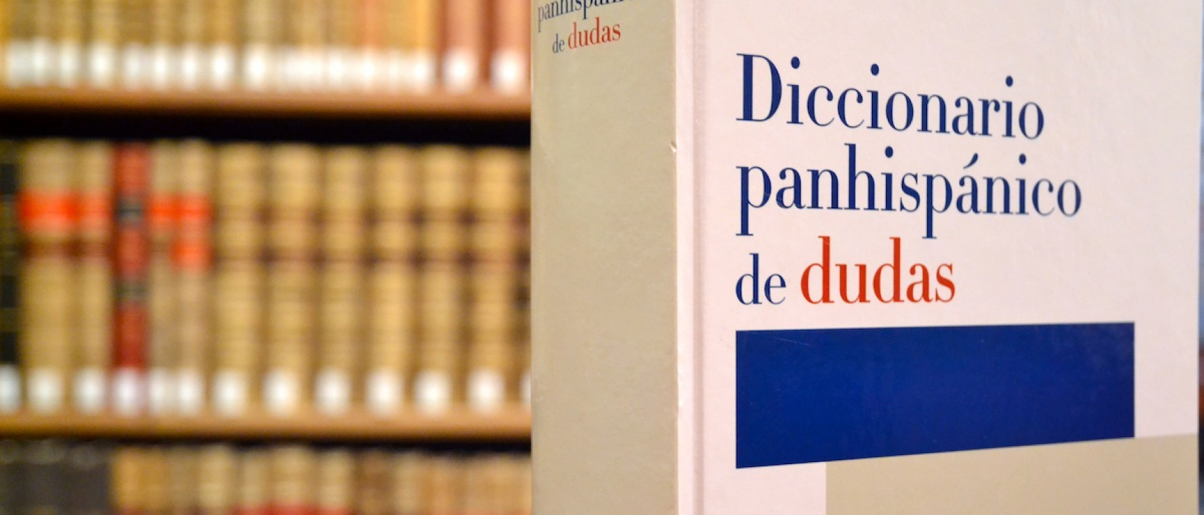 «Diccionario panhispánico de dudas», 2005