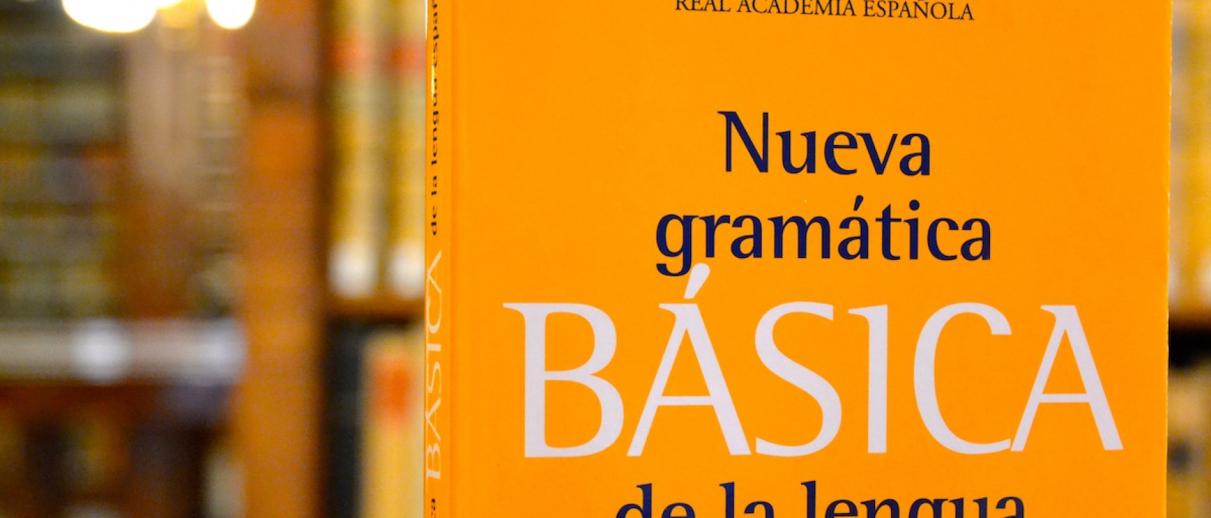 «Nueva gramática básica de la lengua española»