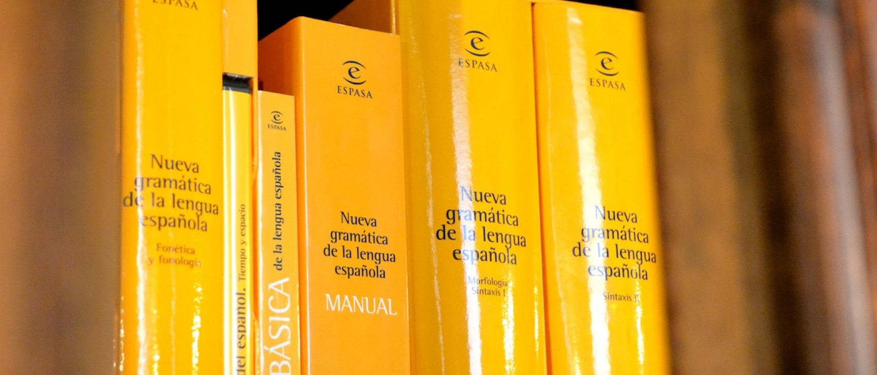 «Nueva gramática de la lengua española»