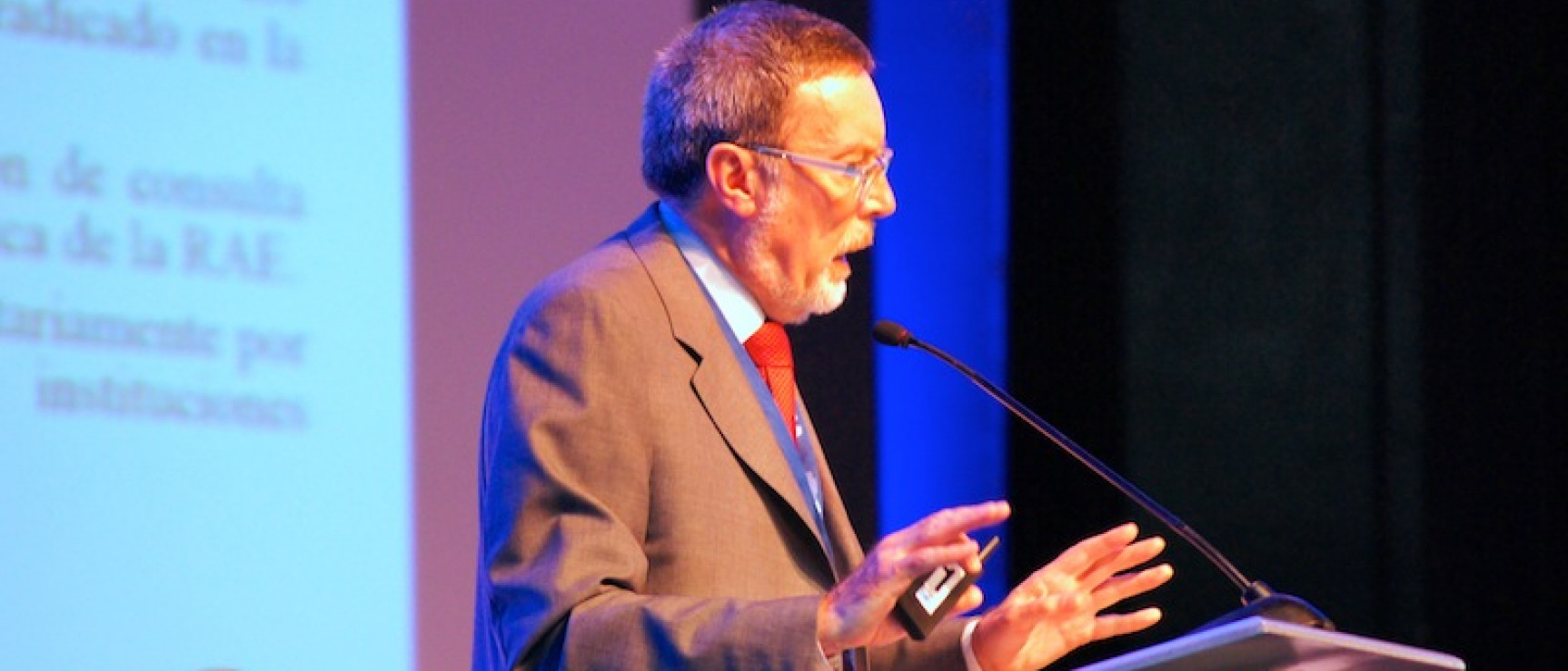 Guillermo Rojo, académico coordinador del CORPES XXI.