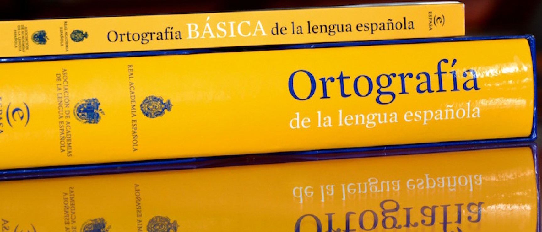 La última edición de la «Ortografía de la lengua española» se publicó en 2010.