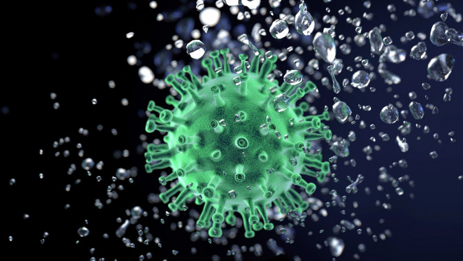 Coronavirus (Foto: pixabay)
