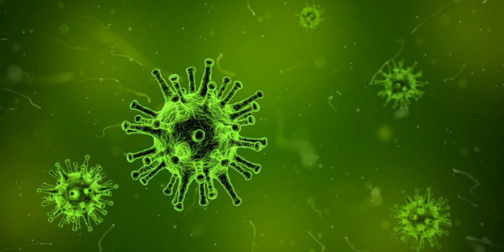 Coronavirus (foto: pixabay)